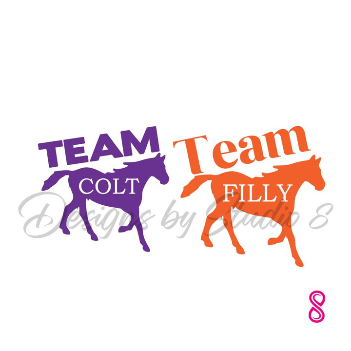 CUSTOM ORDER: COLT VS FILLY GENDER REVEAL SHIRT