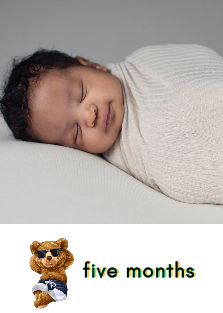 Chill Teddy Bear 12-Mth Growth Cards